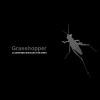 Grasshopper_100X100_BW