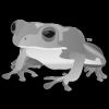 Leapfrog_logo_100X100_BW